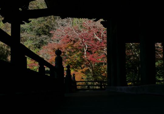妙本寺の紅葉